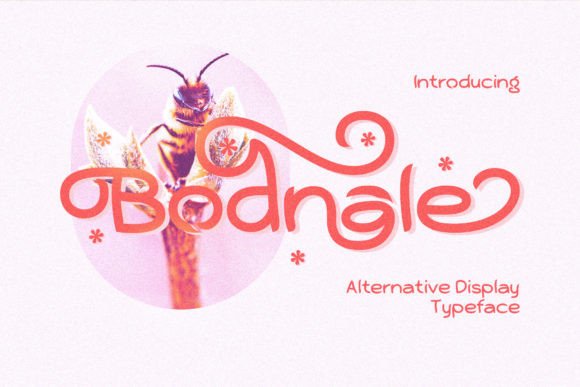 Bodnale: A Quirky Elegant Display Font for Editorial Design