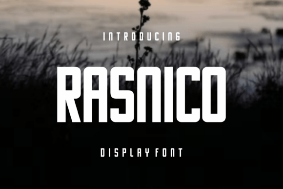 Rasnico Display Font for Handmade Product Branding